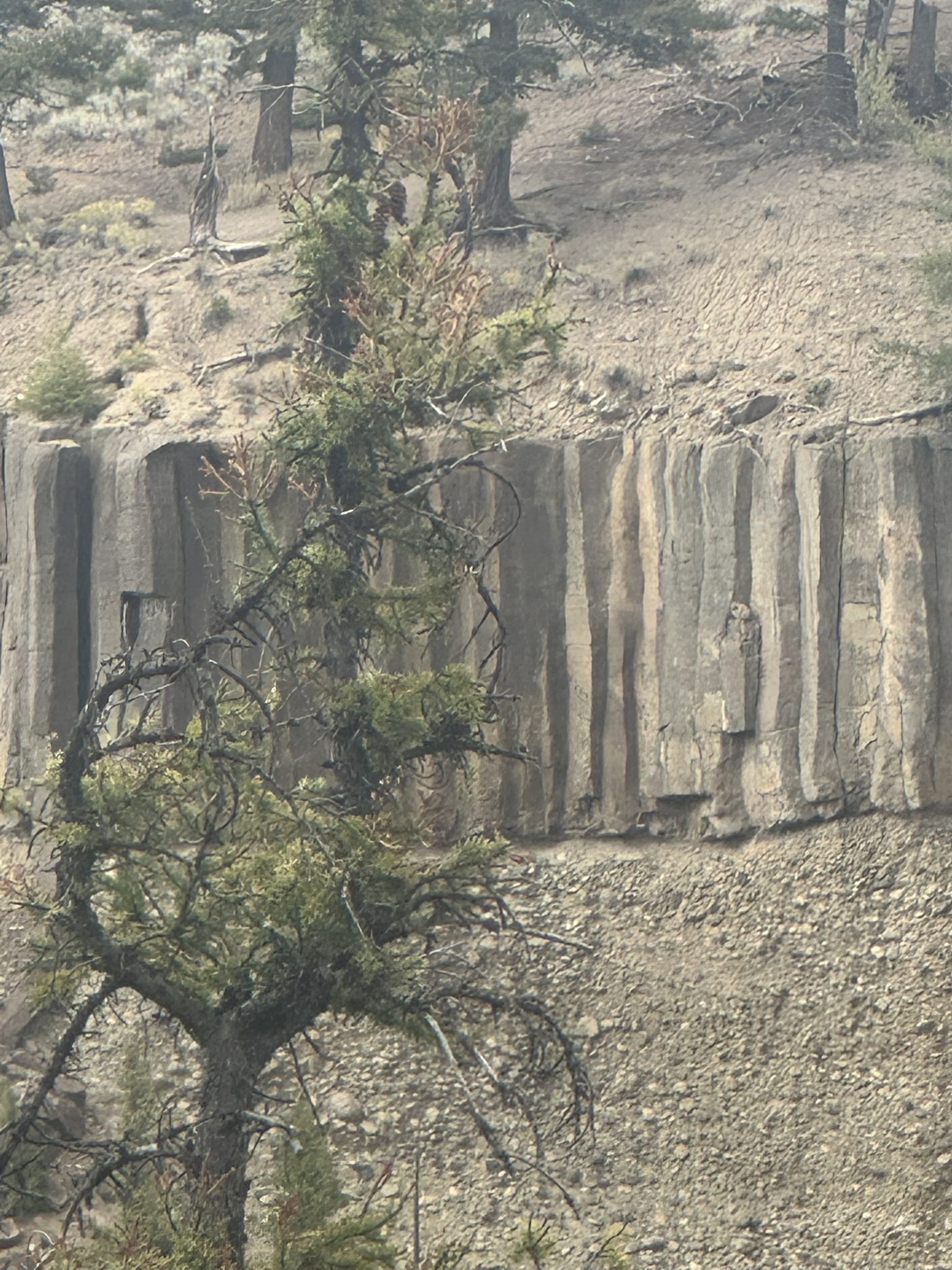 Yellowstone And Grand Teton National Parks - Image 844